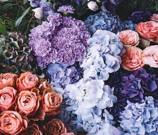 Blumen & Floristik